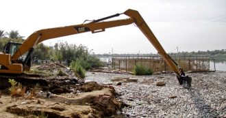 Il consumo di pesce in Italia è insostenibile. E la soluzione non è ridurlo