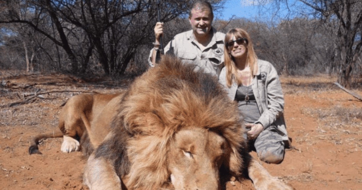 Cacciatori sorridono davanti al leone ucciso, la figlia attacca il padre: “Spendere 15 mila euro per sparare a un animale? Sei orribile”