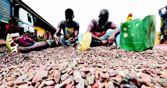L’inchiesta di Mediapart: la guerra del cacao per mettere in salvo i piccoli produttori di Costa d’Avorio e Ghana