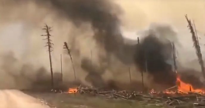 Artico, in fiamme oltre 3,2 milioni di ettari di foresta tra Siberia e Yakuzia. Greenpeace: “Disastro ambientale”