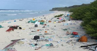 Copertina di Isola di Henderson, l’atollo patrimonio dell’Unesco è sommerso dai rifiuti. “Provengono da tutto il mondo”