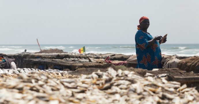 Copertina di Roberta Rughetti (Amref): “L’Africa è più vulnerabile, ma a pagarne le conseguenze saremo noi”