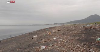 Copertina di “Il santuario”, un viaggio all’interno del santuario marino Pelagos per capire l’impatto dell’inquinamento da microplastiche
