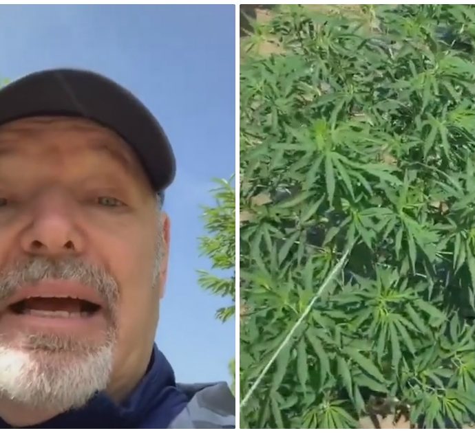 Vasco Rossi nella piantagione di cannabis legale: “Tira un’aria oscurantista e bigotta”