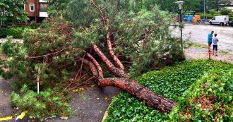 Copertina di Bolzano, temporale e grandine in città: tetti scoperchiati e sradicati alberi secolari