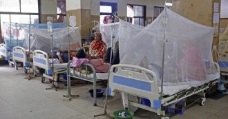 Copertina di Dengue, dopo il Bangladesh è allarme anche nelle Filippine: “I morti sono 622”