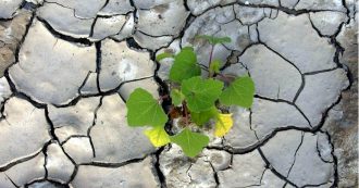 Copertina di Desertificazione e consumo, l’allarme per il suolo. L’Italia perde quasi 2 metri quadri ogni secondo. “Danni per 90 miliardi, come metà del Recovery plan”