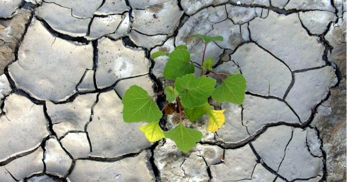 “Ondate di calore, più incendi e disponibilità d’acqua ridotta”: gli effetti del cambiamento del clima nell’Italia delle prossime generazioni