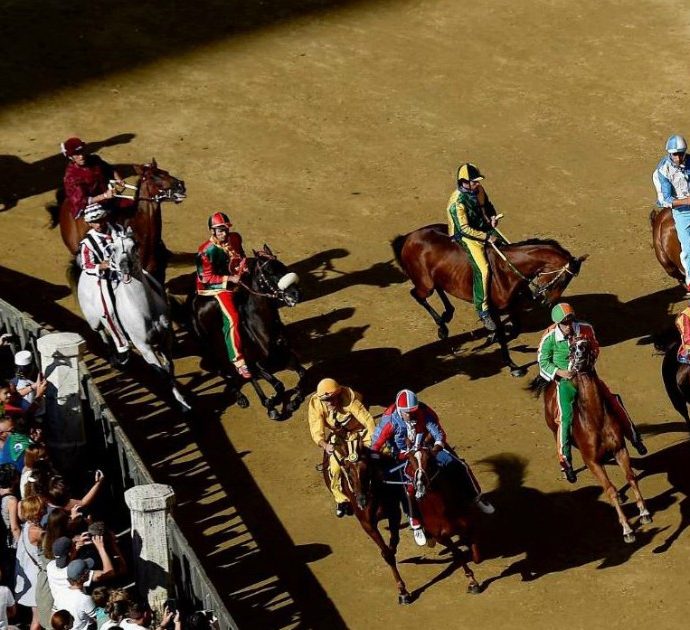 Palio di Siena, vince il cavallo “scosso” della contrada Selva: battuto al fotofinish il Bruco