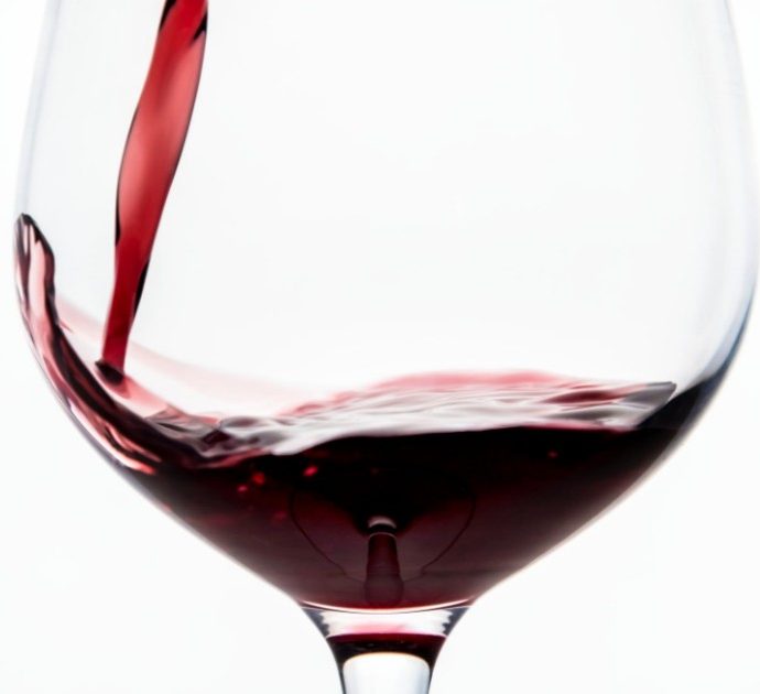 Il vino fa dimagrire? La ricerca canadese: “Uno o due bicchieri prima di andare a dormire fanno perdere peso”