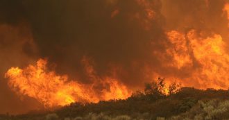 Copertina di Un’area  due volte la Lombardia bruciata per fare snack e carta per uso domestico