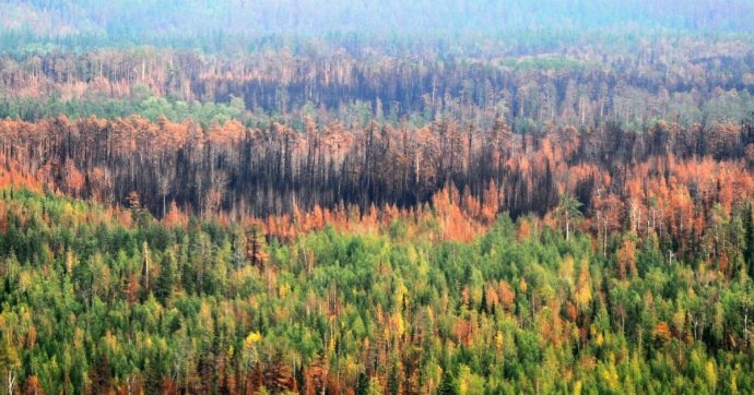 Siberia, gli incendi continuano: va a fuoco ciò che credevamo non potesse neanche scaldarsi