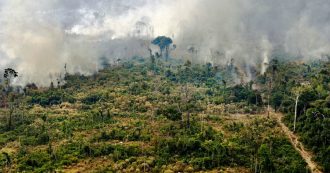 Copertina di Amazzonia in fiamme, il Brasile apre inchiesta per roghi dolosi: “Organizzati su Whatsapp”. Macron: “Anche l’Africa è in fiamme”