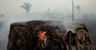 Copertina di “Brasile, i produttori di soia vogliono spianare il Cerrado”