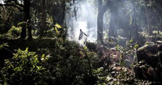 Copertina di Africa, in Congo e Angola va in fiamme la seconda foresta pluviale più grande del mondo: oltre 10mila incendi in una settimana