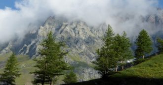 Copertina di Pastore 49enne muore in solitudine mentre accudisce il suo gregge