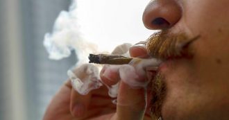 Copertina di La Virginia primo Stato del Sud negli Usa a legalizzare la marijuana per uso personale