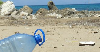 Copertina di Puglia, il Consiglio di Stato accoglie il ricorso della Regione e boccia la decisione del Tar: spiagge e lidi possono essere plastic free