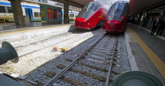 Copertina di La pagliuzza  Tav, la trave     Ferrovie I veri dati che la politica ignora