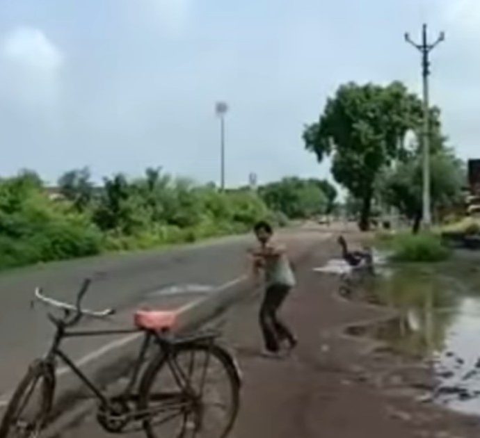 I corvi vogliono ‘vendicarsi’ di lui: aspettano da tre anni che esca di casa per attaccarlo