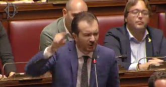 Governo, Molinari (Lega) attacca Conte: “Ci ha detto balle per 14 mesi. Noi eletti e lei no, non accetto lezioni dal M5s”