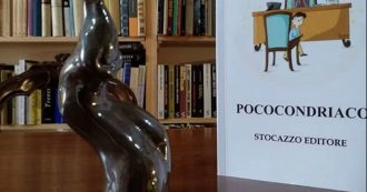 Copertina di Stocazzo Editore, la casa editrice di Maurizio Sbordoni: “Oggi per pubblicare basta essere famosi. Anche come miglior schiacciatore di zanzare al mondo”