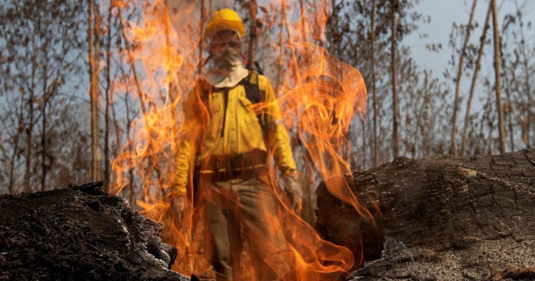 “C’è la regia di Bolsonaro dietro il fuoco in Amazzonia” “C’è la regia di Bolsonaro dietro il fuoco in Amazzonia”