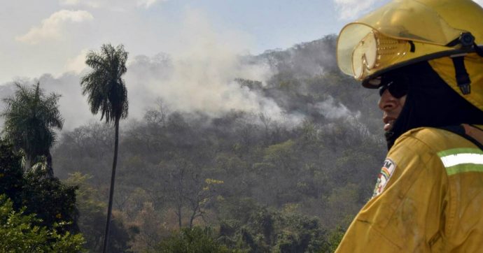 Amazzonia, deforestazione aumentata del 300% rispetto al 2018. Ucciso difensore dei diritti degli indigeni