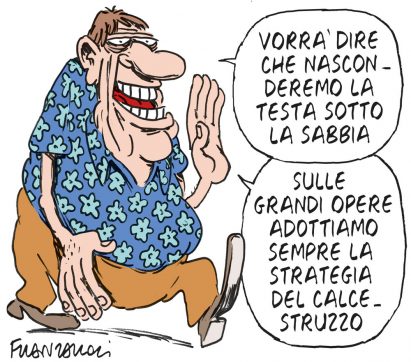 Copertina di La vignetta di Franzaroli