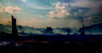 Copertina di Amazzonia, ora la pioggia è nera