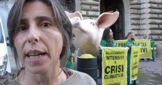 Copertina di Agricoltura, Greenpeace porta un grosso maiale davanti al ministero: “Basta fondi pubblici agli allevamenti intensivi”