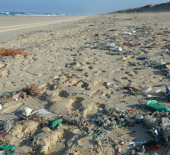Come insegnare ai bambini a proteggere il mare dalla plastica? Ecco un libro per educare i più piccoli