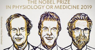 Nobel per la Medicina 2019, premiati Willian Kaelin, Peter Radcliffe e Gress Semenza