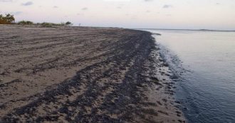 Copertina di Brasile, chiazza di petrolio inquina 139 spiagge. Bolsonaro: “Origini in Venezuela”