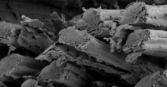 Copertina di Vestiti indossabili e lavabili diventano hi-tech con un bagno di MXene