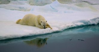 Copertina di Groenlandia, scioglimento record nel 2019. E l’Europa pagherà miliardi di euro per l’innalzamento del Mediterraneo