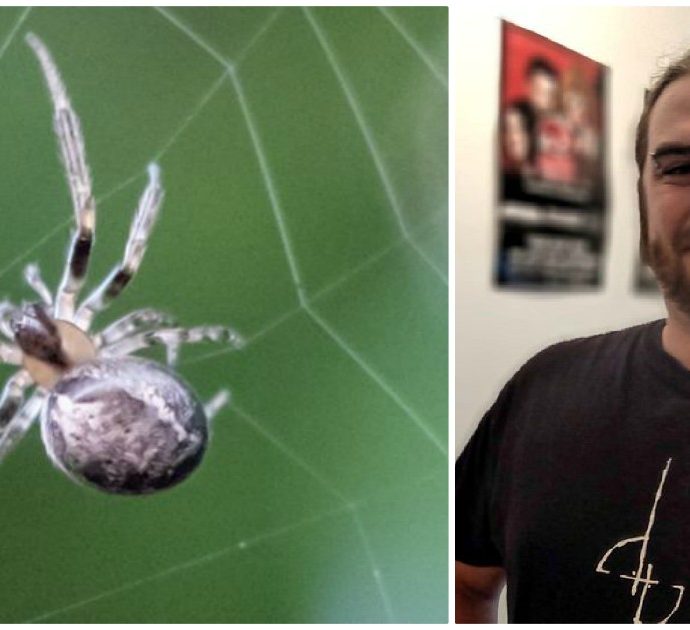 Ha le vertigini e forti dolori: ragazzo di 27 anni scopre che un ragno gli era entrato nell’orecchio di notte