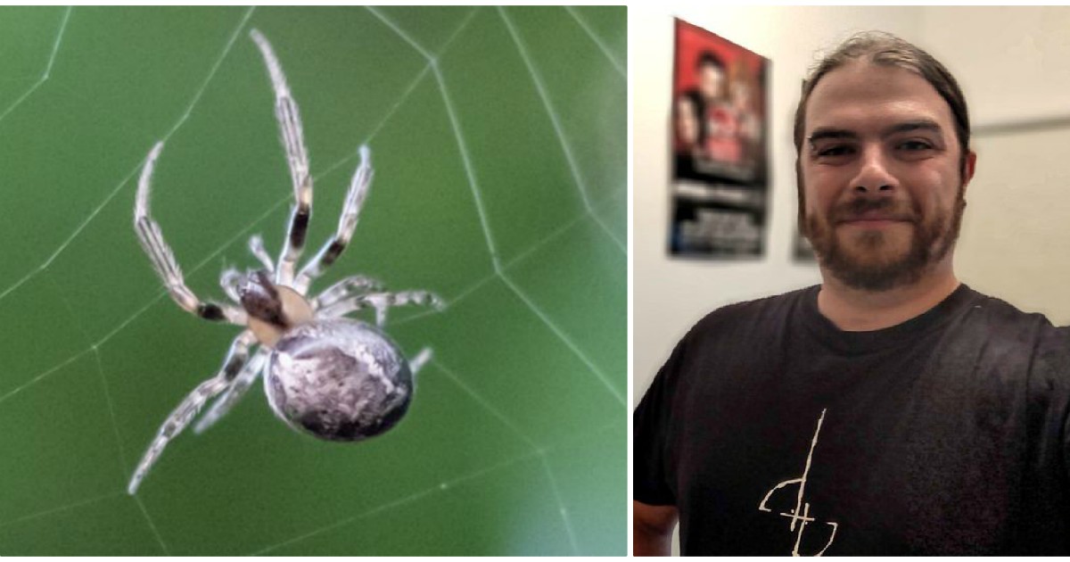 Ha le vertigini e forti dolori: ragazzo di 27 anni scopre che un ragno gli era entrato nell’orecchio di notte
