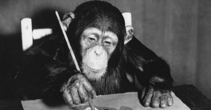 In mostra a Londra lo scimpanzé pittore apprezzato da Picasso e Dalì