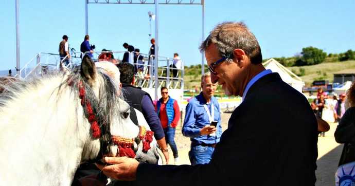 Sicilia, la Regione continua a puntare forte sui cavalli: altri 5 milioni e mezzo per la tenuta nella città del governatore Musumeci