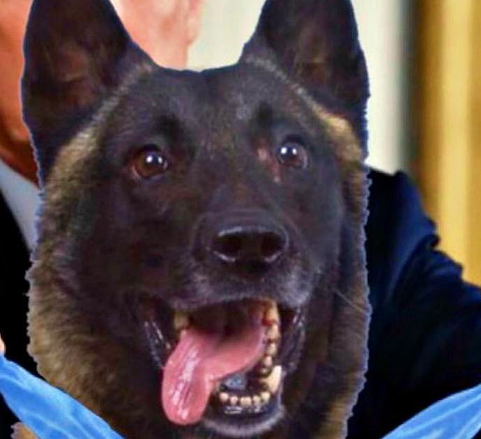 Donald Trump twitta la foto in cui premia il cane eroe, ma è un fotomontaggio