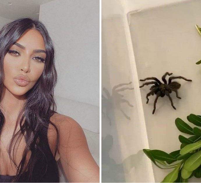 Kim Kardashian ha la casa invasa dalle tarantole: ne cattura una e la mostra sui social