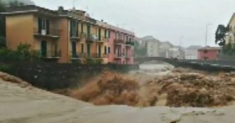 Copertina di Maltempo in Liguria, vento e pioggia a Sestri Levante: esondano il Petronio e il Vara. Le immagini