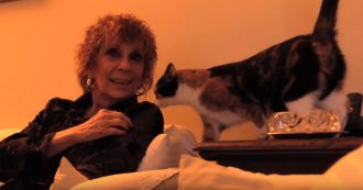 Copertina di L’aforisma è l’arte dell’incontro. E con Rosanna Marani gioco sull’orlo del precipizio