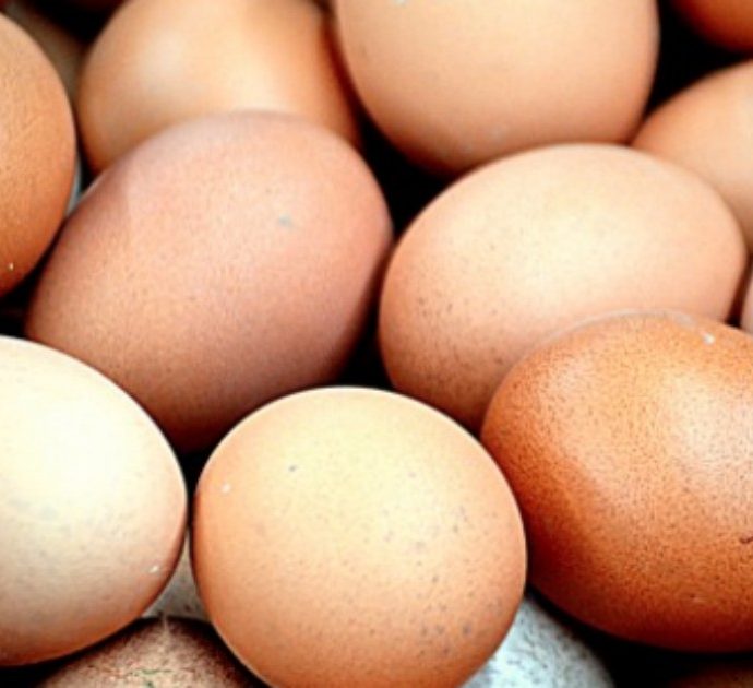 Sfida un amico a chi mangia più uova: dopo averne mangiate 42 si ritrova accasciato al suolo