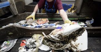 Copertina di “La plastic tax uccide le aziende”. Ecco perché son tutte balle