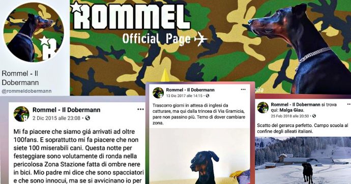 Ferrara, il portavoce del sindaco ha una pagina Fb dedicata al cane “Rommel” in cui si definisce il suo Führer