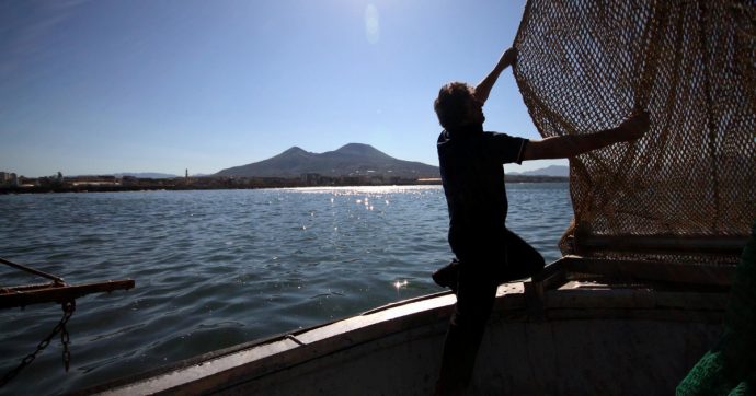 Copertina di Mare svuotato, ma i governi vogliono i fondi per le barche