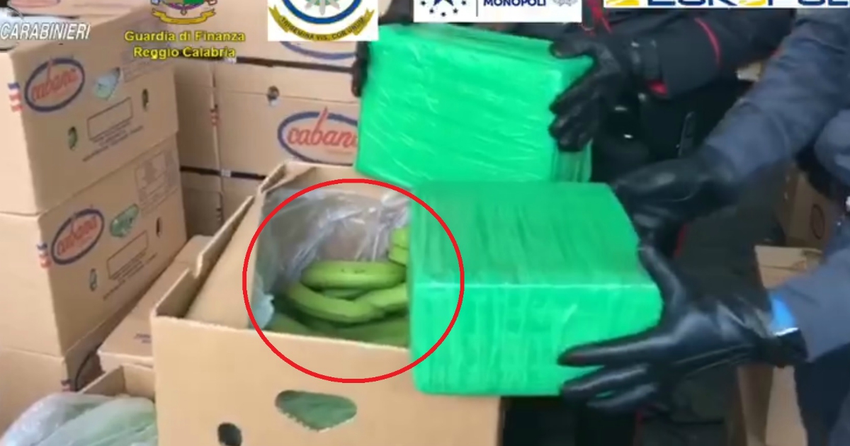 Reggio Calabria, tra i container di banane nascosti 1200 kg di cocaina: sequestro record a Gioia Tauro - Il Fatto Quotidiano