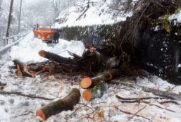 Copertina di Maltempo, in Alto Adige black out elettrico e strade chiuse. Isolate diverse valli. Saturnia, ondata di fango sulle terme: danni